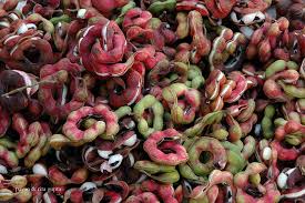 Atom Bomb- Jalebi fruit