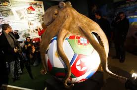 Exit polls paul the octopus