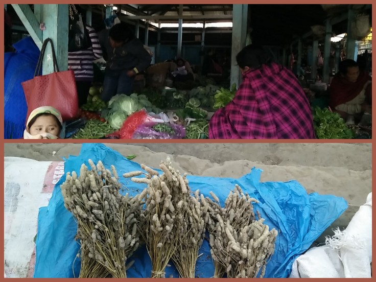 tamenglong-veg-and-herbs-collage