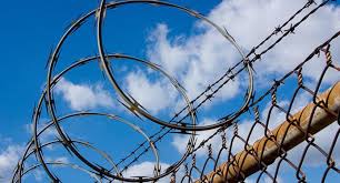 Miyah poems- fence 3